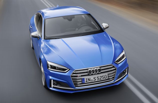 Dynamic photo, Color: Ara Blue