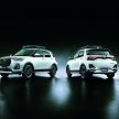 印度媒体爆料，Suzuki 将Rebadge Toyota Raize 成下一代的 Vitara Brezza，成印度市场下一代的主力入门级SUV