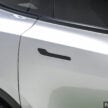 Tesla Model Y L 正式于大马面市！六座布局长轴距版，681公里WLTP续航，预售价RM260k起，第二季开始交付