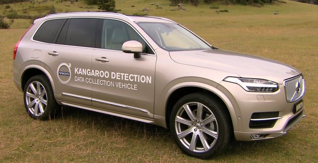 Volvo Cars begins first ever Australian tests for kangaroo safety research