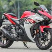 REVIEW: 2015 Yamaha YZF-R25 – fun with the baby ‘R’