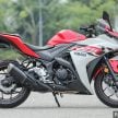 REVIEW: 2015 Yamaha YZF-R25 – fun with the baby ‘R’