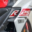 REVIEW: 2015 Yamaha YZF-R25 – fun with the baby ‘R’