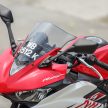 REVIEW: 2015 Yamaha YZF-R25 – fun with the baby ‘R’