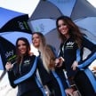 MotoGP to remove paddock girls from the racing grid?