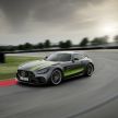 Mercedes-AMG GT range updated with new looks and technology – limited-edition GT R Pro model added