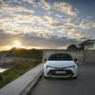 GALLERY: 2019 Toyota Corolla detailed for Europe – three body styles; four powertrains, including hybrids