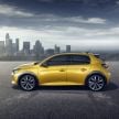 2019 Peugeot 208 unveiled with 340 km electric model
