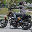 REVIEW: Honda CB1100RS vs BMW R nineT vs Ducati Scrambler vs Kawasaki Z900RS vs Triumph Bonneville