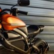 REVIEW: Harley-Davidson LiveWire electric motorcycle first ride – a sharp shock to the senses