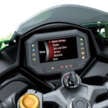2024 Kawasaki ZX-25RR now in Malaysia, RM36,500
