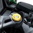 2024 Kawasaki ZX-25RR now in Malaysia, RM36,500