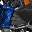 2025 BMW Motorrad M1000RR, S1000RR super bikes updated – 218 hp, slide control, new fairing