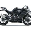2026 Kawasaki Ninja ZX-4RR and ZX-4R SE make Malaysia debut, priced at RM42,999 and RM40,999