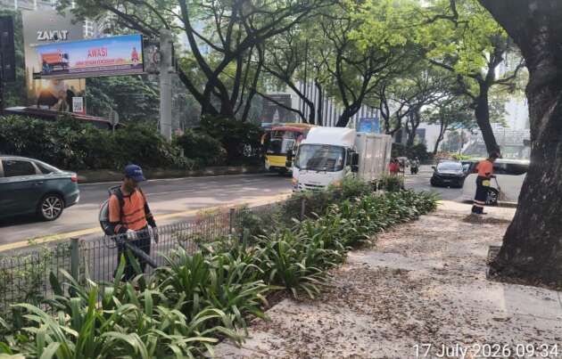 DBKL conducts technical investigation after fatal tree fall on Jalan Tun Razak, inspection of mature trees