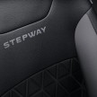 Dacia Sandero Stepway – Logan hatch with 4X4 style