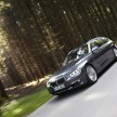F31 BMW 3-Series Touring: 252 pix mega gallery
