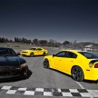 Dodge Charger SRT8 Super Bee asks, Bumble Bee who?